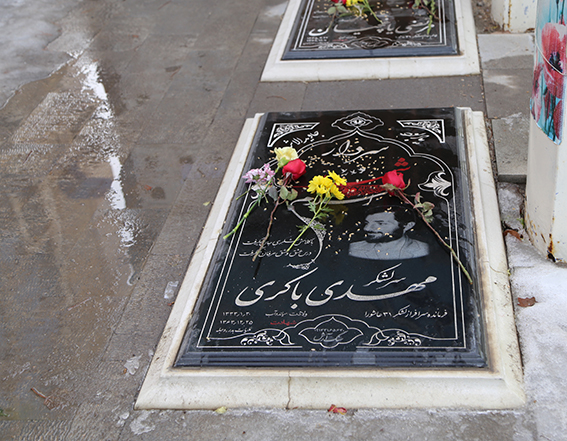 گزارش تصویری مهمانی لاله ها در ایام الله دهه فجر