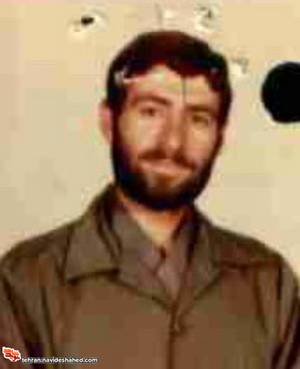 نوید شاهد