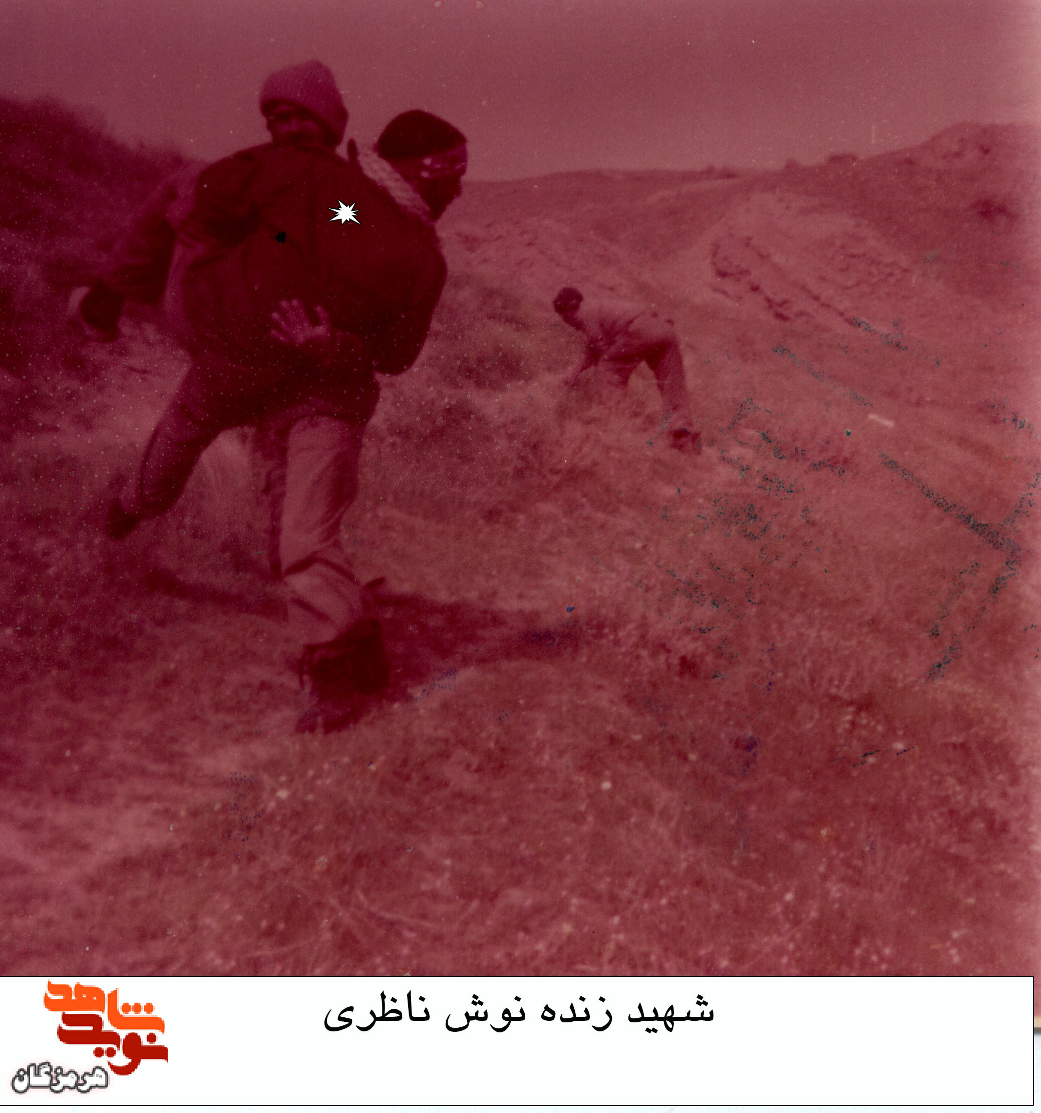 آلبوم تصاویر شهید «زنده نوش ناظری»
