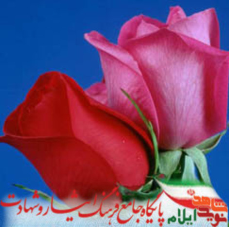 شهیده امیره شیخی همسر شهید ناصر شکیبا