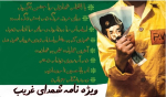 ویژه نامه شهدای غریب استان لرستان