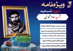 ویژه نامه الکترونیکی| شهیدی که عیدی اش شهادت شد