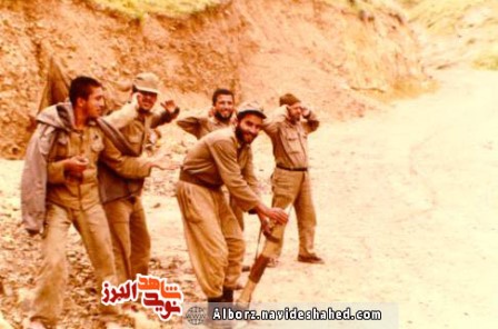 محمود زارع بنادکوکی