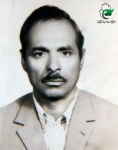 آذرنوشان