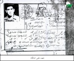 اسناد